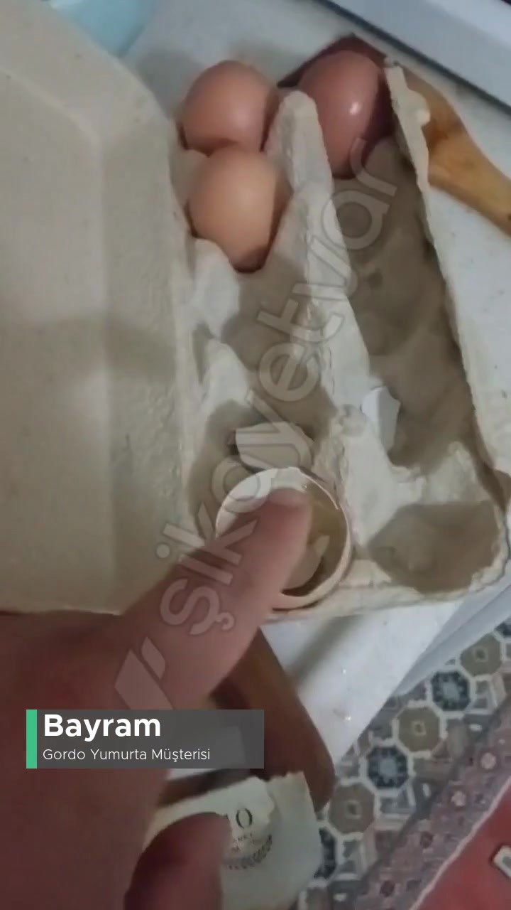 Gordo Yumurta Mağdurum Şu An videonun kapak resmi