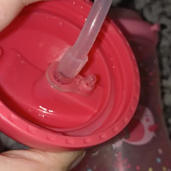 Wee Baby Suluklarda Küf Sorunu Ve Sağlık Tehlikesi