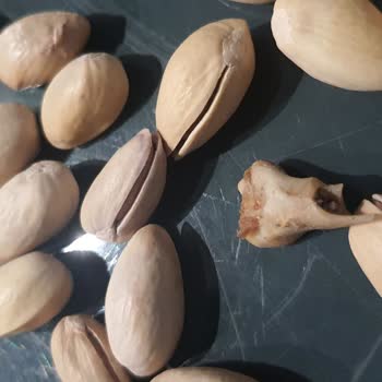 Şok Market Amigo Marka Çerezin İçinden Çıkan Kemik