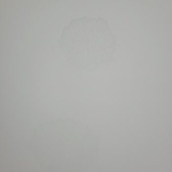 Sur Yapı Antalya Mağdur Ediyor