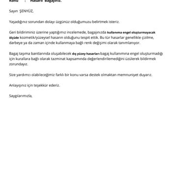 THY Yine Ve Yeniden Bagaj Sorunu Her Uçuş Aynı Sıkıntı