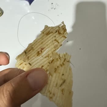 Haşiroğlu Tarhana Cipsinde Saç Bulunması Nedeniyle Yaşanan Hayal Kırıklığı