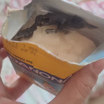 Danone Tikveşli Muzlu Pudingin Beklenmedik Sorunu