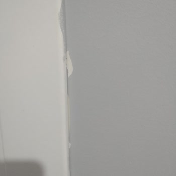 Dyo Duvar Boyası Şikayet