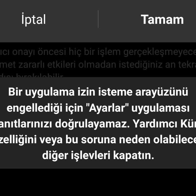 Oppo Yardımcı Küre Sorunu