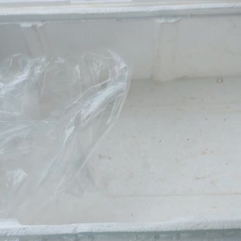 Aydın Kadın Kooperatifi (Instagram: kadinkooperatif) Ürünlerin Kirli Kutularda Gönderilmesi