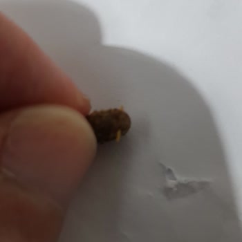 Farmina N&D Firmasından Açıklama Bekliyorum