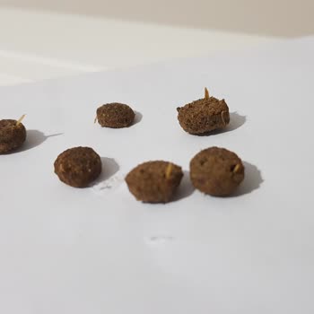 Farmina N&D Firmasından Açıklama Bekliyorum