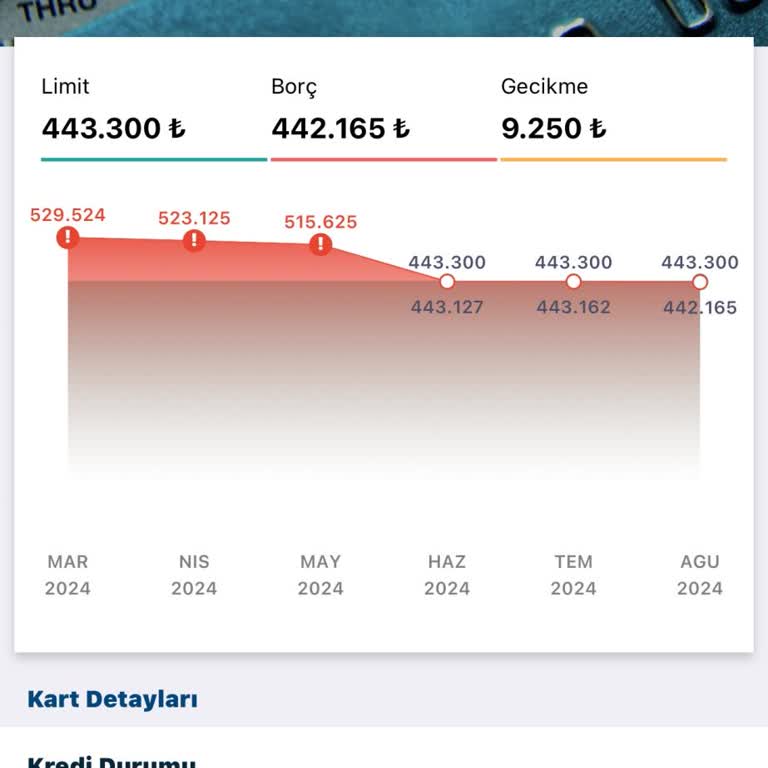 Yapı Kredi Bankası Gecikmede Olmayan Borç