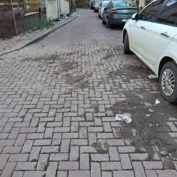 Bayrampaşa Belediyesi Temizlik Sorunu