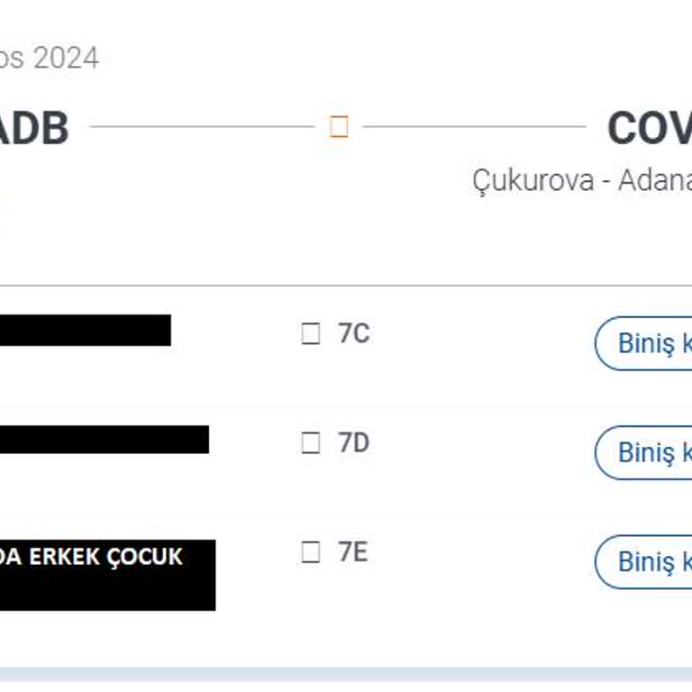 Sunexpress Check-in Ekstra Ücret Talebi