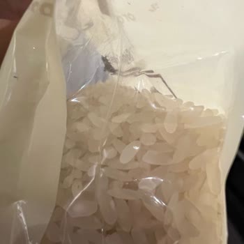 Carrefour Gurme - Sade Organik Pirinç Güve