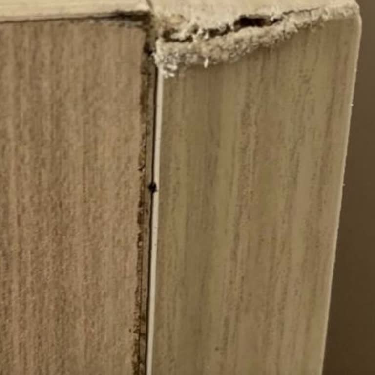 Nefes Nakliyat (Giresun) Eşyalarımızı Mahvetti