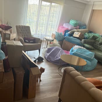 Kaya Nakliyat Şehirler Arası Taşıma Sorunları