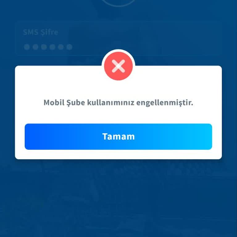 Halkbank Kredi Kartı Borcu Ve Mobil Bankacılık Uygulaması