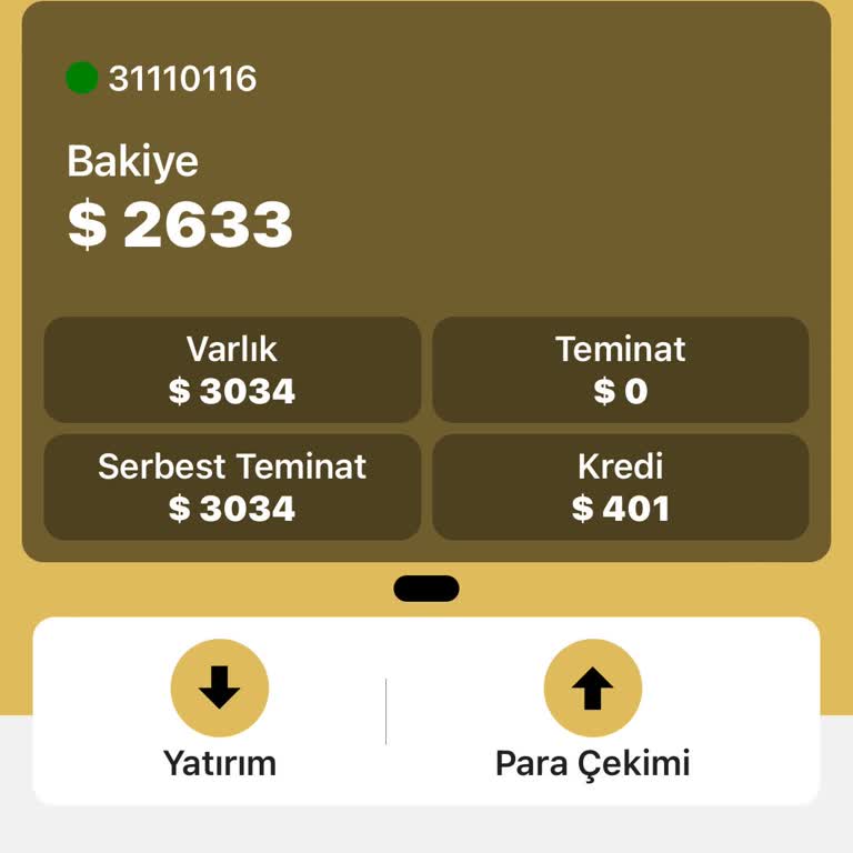 Alpha Finance Market Alpha Finans Market'te Yaşadığım Sorunlar Ve Çözüm Arayışım