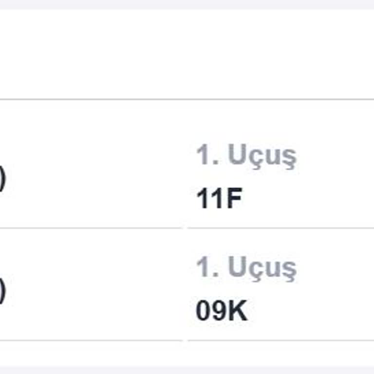 Türk Hava Yolları Ücretsiz Koltuk Seçiminden Para Alıyor