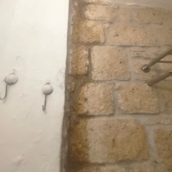 Asma Han Alaçatı Ve Trip.com Ayıbı