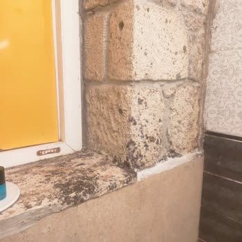 Asma Han Alaçatı Ve Trip.com Ayıbı