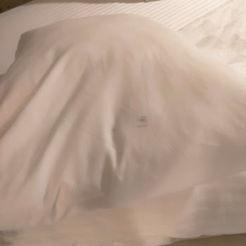 Asma Han Alaçatı Ve Trip.com Ayıbı