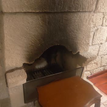 Asma Han Alaçatı Ve Trip.com Ayıbı