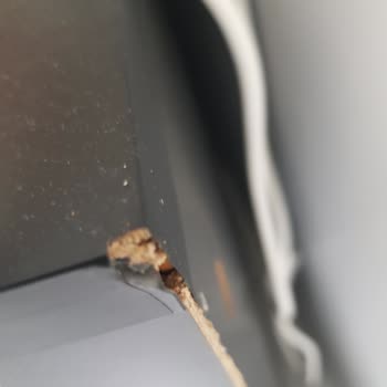 Bulutsoy Nakliyat Pişmanlığı