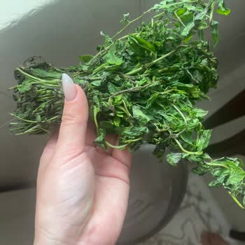 Trendyol GO Migros Hızlı Market Sizler Adına Ben Utandım