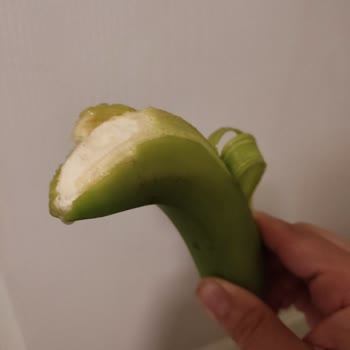 A101 Olmamış Yeşil Muz Satıyor