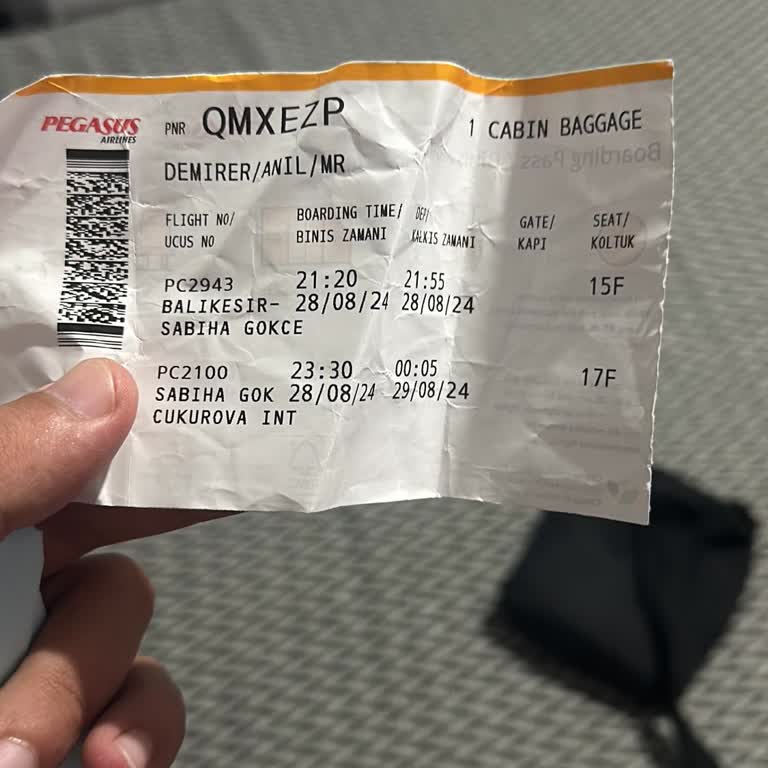 Pegasus Transfer Yol Cu