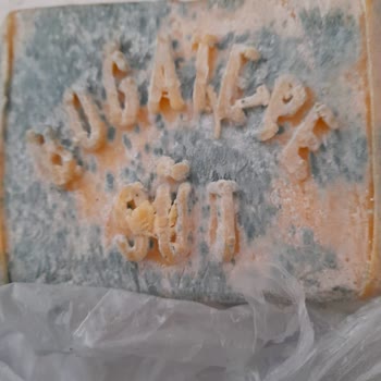 Küflü Ve Yenilemez Peynirler: Karayazı Boğatepe Süt Ürünleri Mağduriyeti