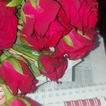 ÇiçekSepeti Çiçek Siparişiyle İlgili Yaşanan Sorunlar