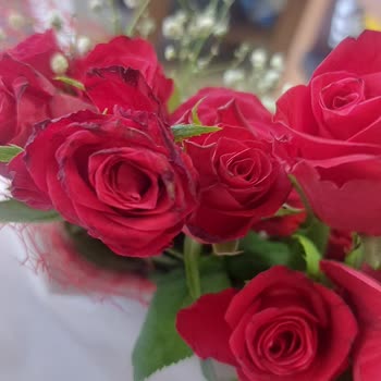 ÇiçekSepeti Çiçek Siparişiyle İlgili Yaşanan Sorunlar