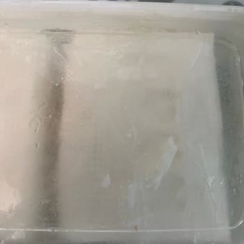 Kaanlar Ekşi Peynir Şikayeti.