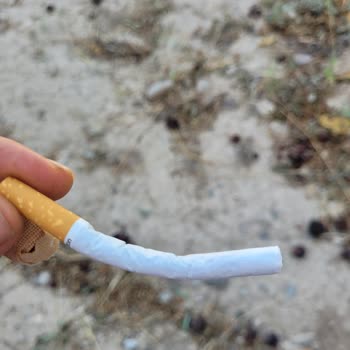 Winston Red İsimli Sigaranın Üreticisinden Şikayetçiyim