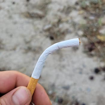 Winston Red İsimli Sigaranın Üreticisinden Şikayetçiyim