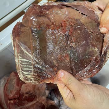 Uğur Derin Dondurucu Pişman Etti