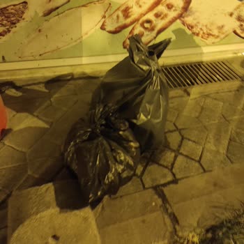 Zeytinburnu Belediyesi Çöp Konteyneri Koyulmuyor