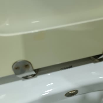 Creavit Klozet Kapağı Kırılması