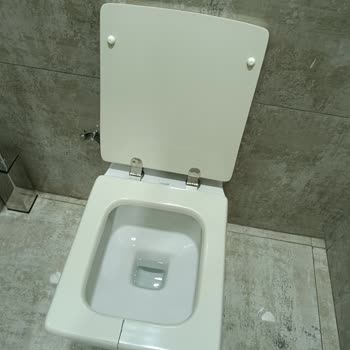 Creavit Klozet Kapağı Kırılması