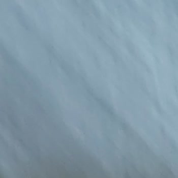 Kamil Koç Maddi Ve Manevi Değeri Yüksek Kolimi Kaybetti