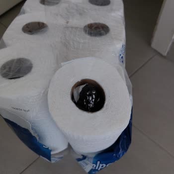 Selpak Poğaçasının Kağıdını Sıkıştırmış Havlu Kağıdının İçine