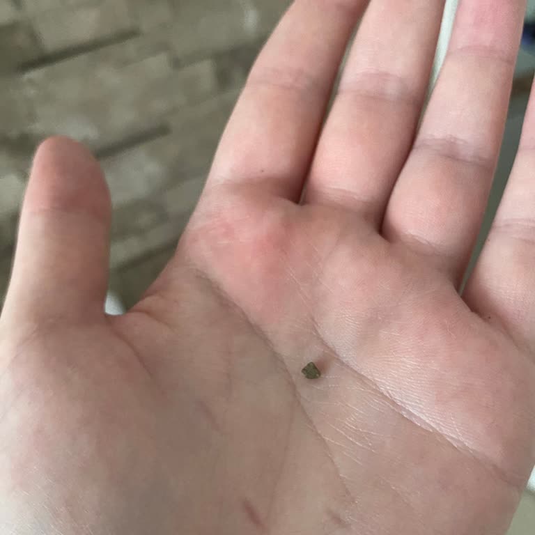 Öncü Döner’den Alınan Dürümün İçinden Taş Çıkması