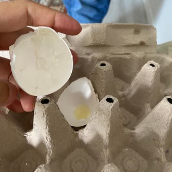 A101 Keskinoğlu Yumurtanın İçi Boş Çıktı