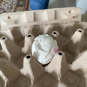 A101 Keskinoğlu Yumurtanın İçi Boş Çıktı