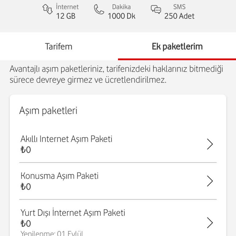 Vodafone Aşım Paketi Problemi: Faturama Yanlış Yansıma