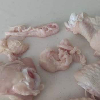 Erpiliç Kanat Ve Butların Üzerindeki Tüyler Yolunmamış