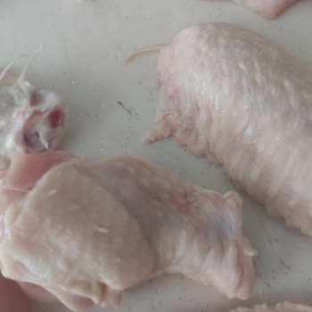 Erpiliç Kanat Ve Butların Üzerindeki Tüyler Yolunmamış