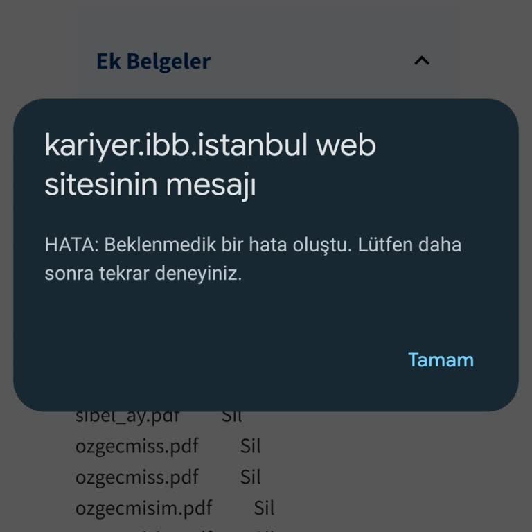 İBB Kariyerden Sitenin Hata Vermesi