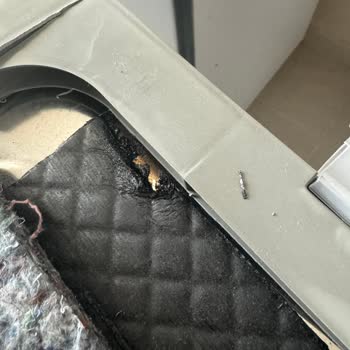 Beko Bulaşık Makinesi Hasarlı Gönderdi