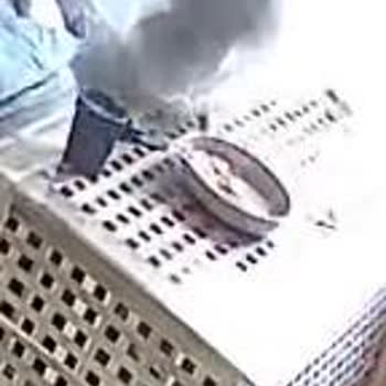 Trendyol'dan Aldığım Kedi Yatağı Güvenlik Sorunu Yarattı